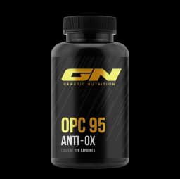 OPC 95